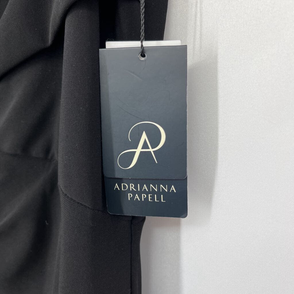 Adrianna Papell Slvls Gown