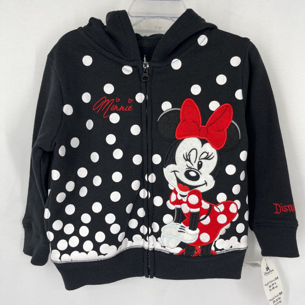 Disney Parks L/s Hoodie