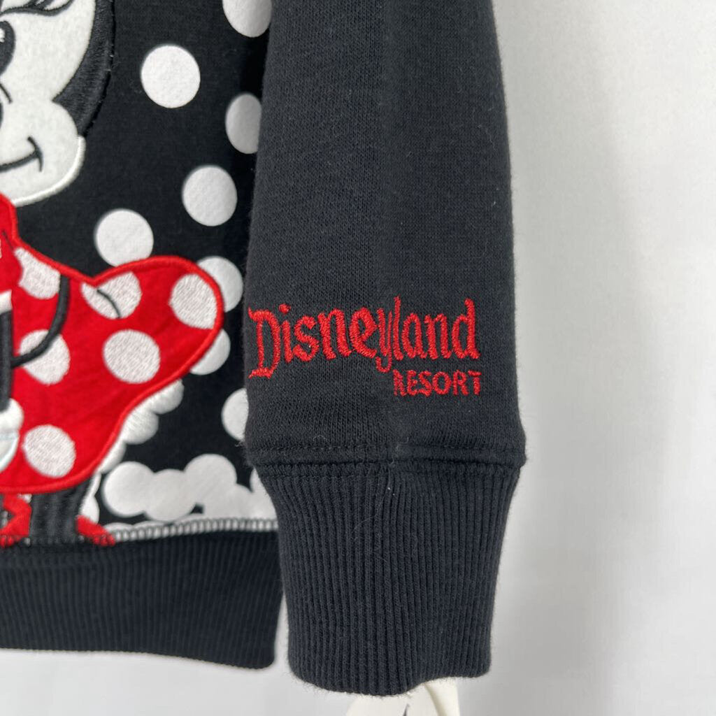 Disney Parks L/s Hoodie