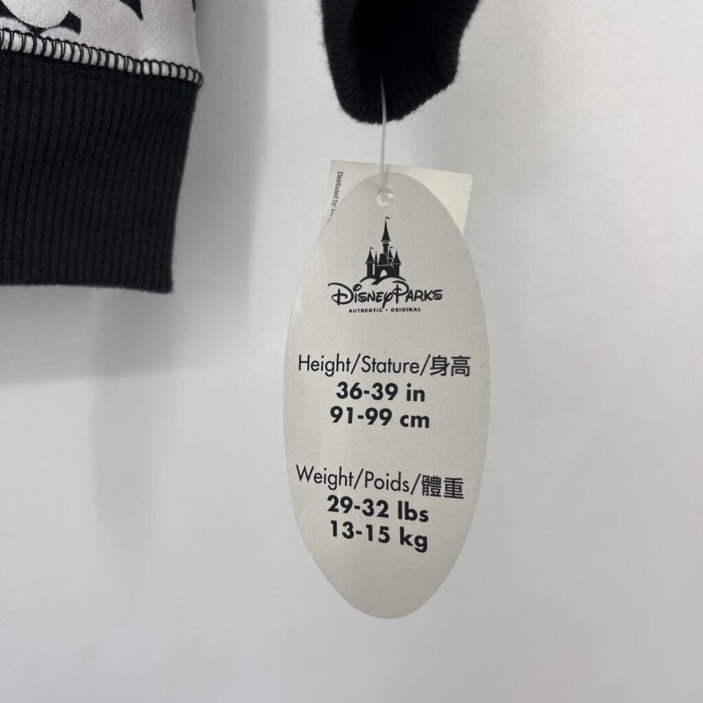 Disney Parks L/s Hoodie