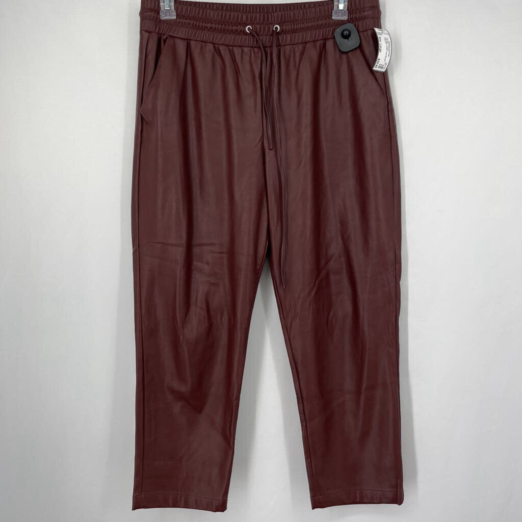 Loft Faux Leather Pant
