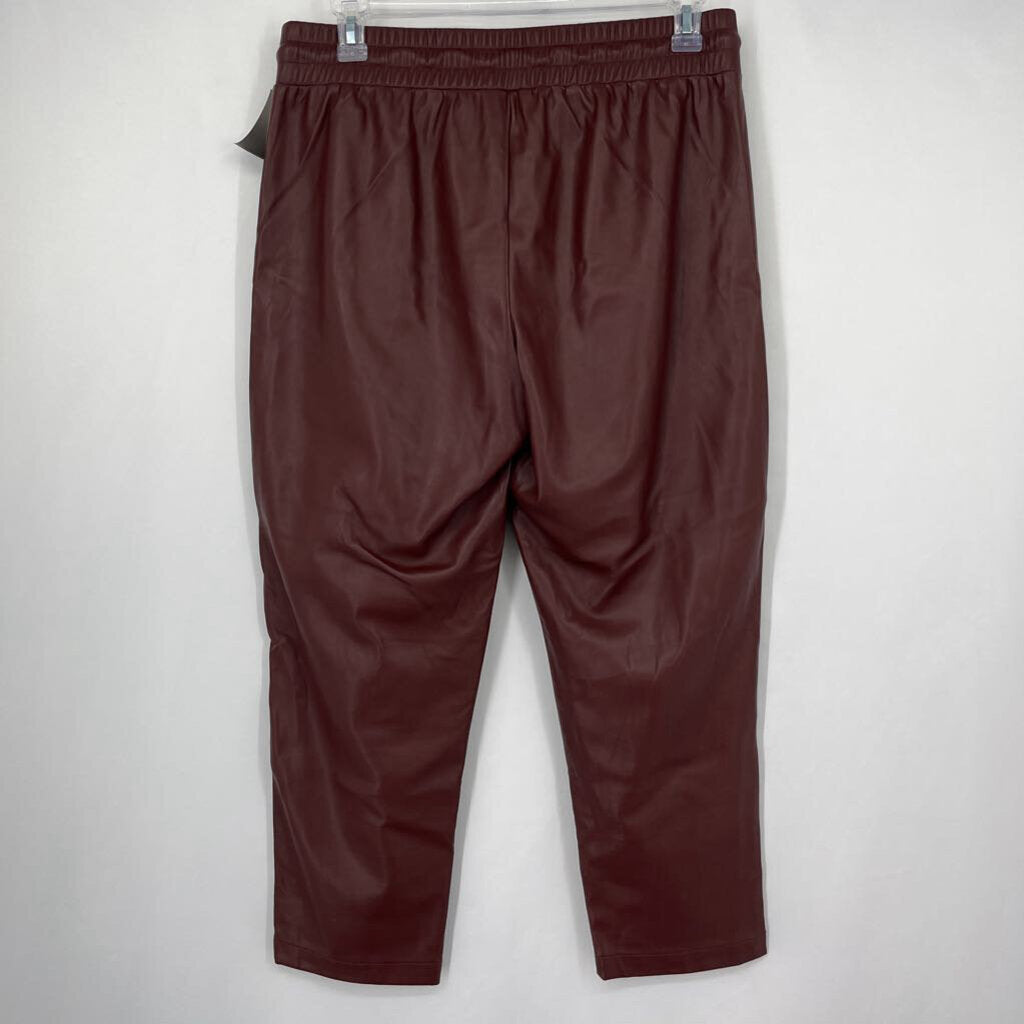 Loft Faux Leather Pant