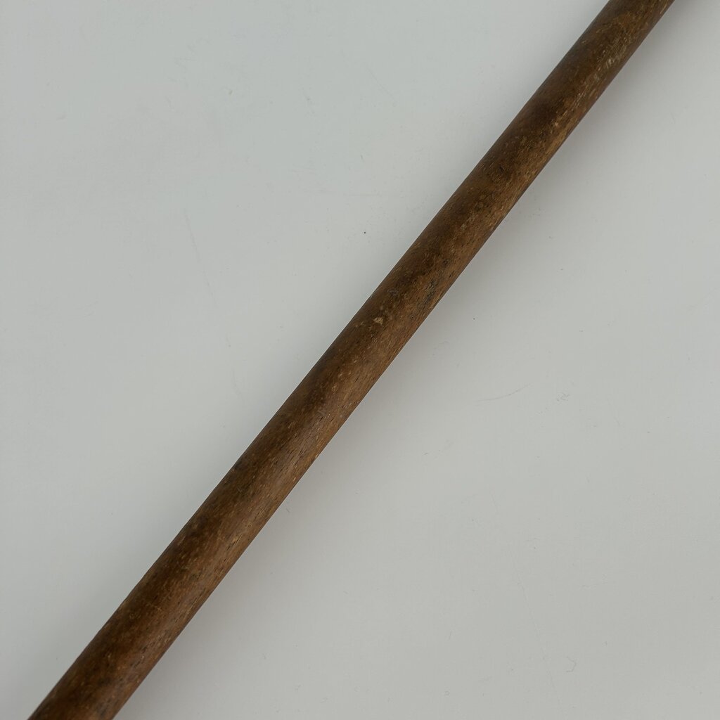 Brass Duck Head Cane