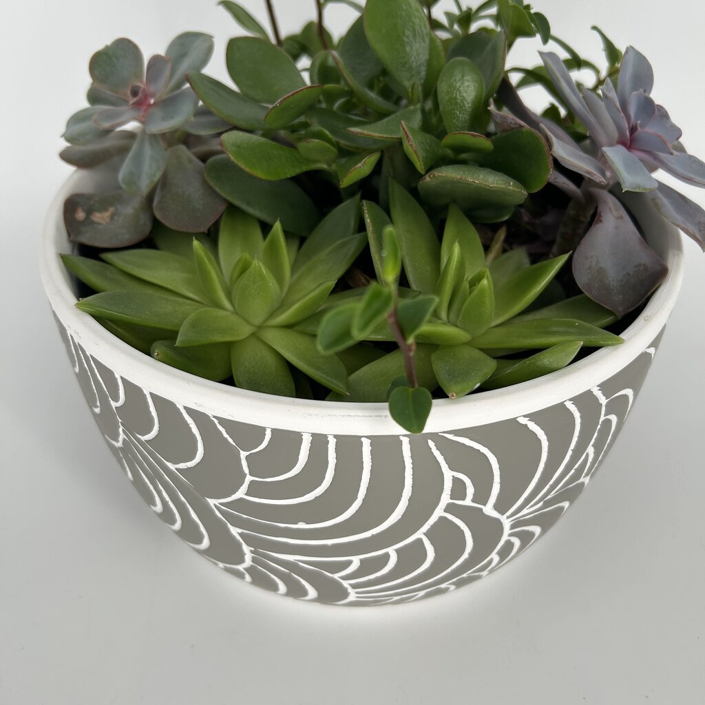 Succulent Garden
