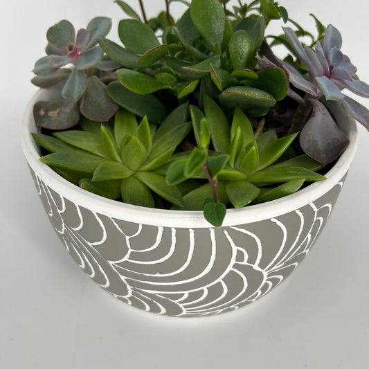 Succulent Garden
