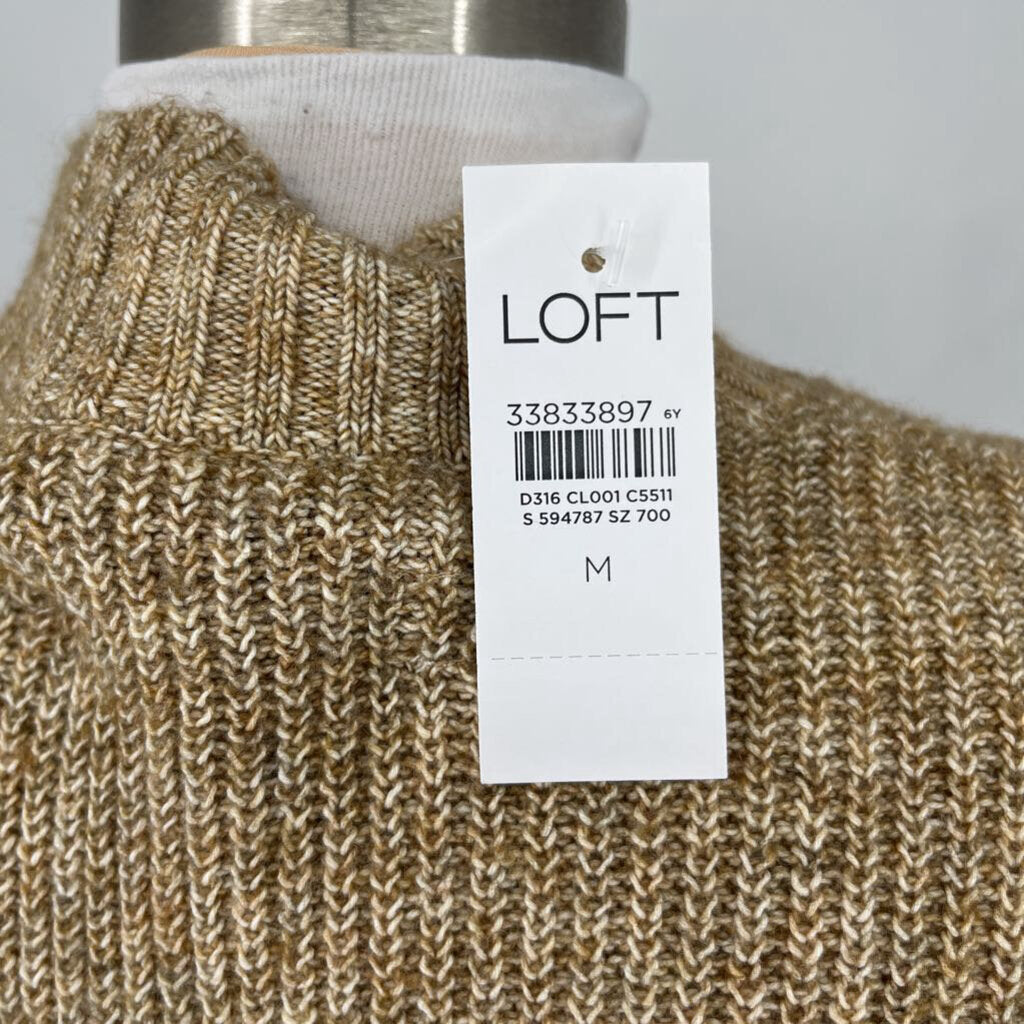 Loft Sweater Dress