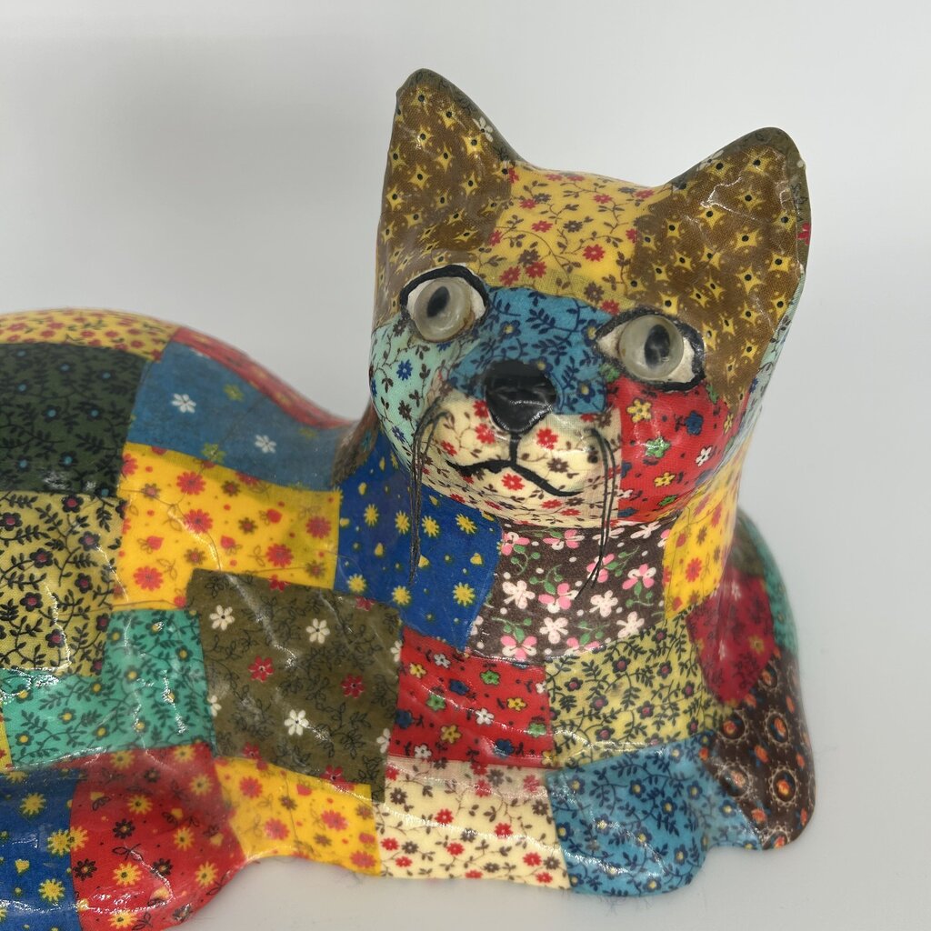 Calico Cat