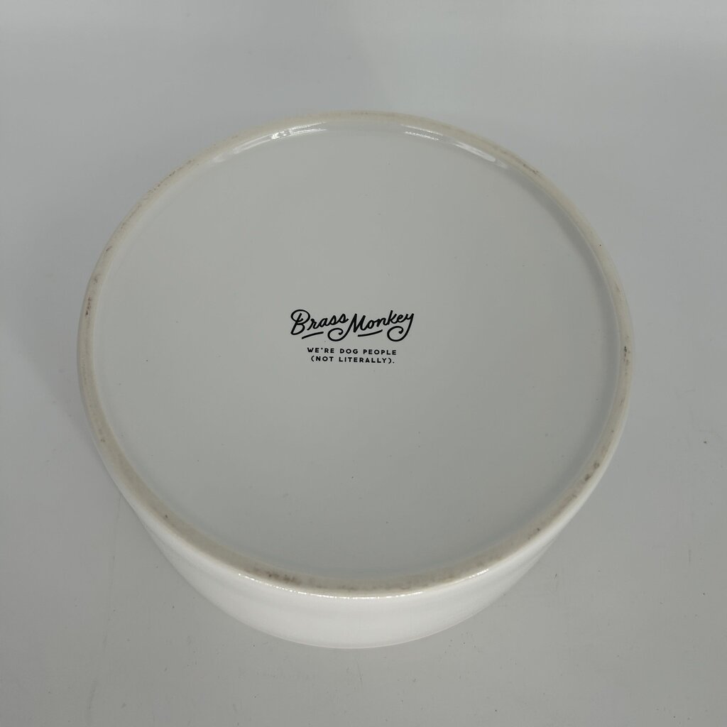 Main Course Dog Bowl