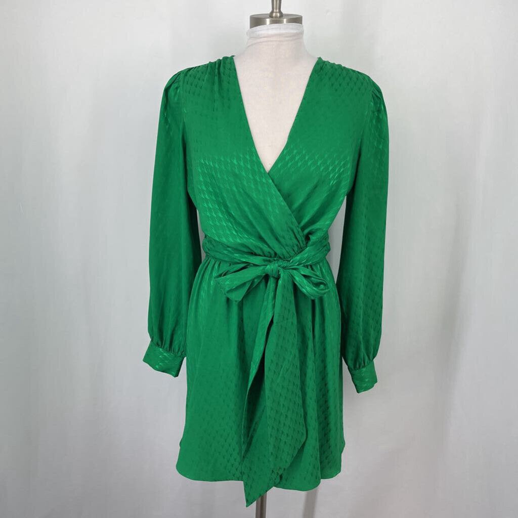 Express L/s Blouse Dress