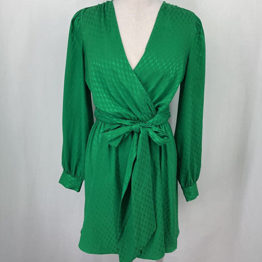 Express L/s Blouse Dress