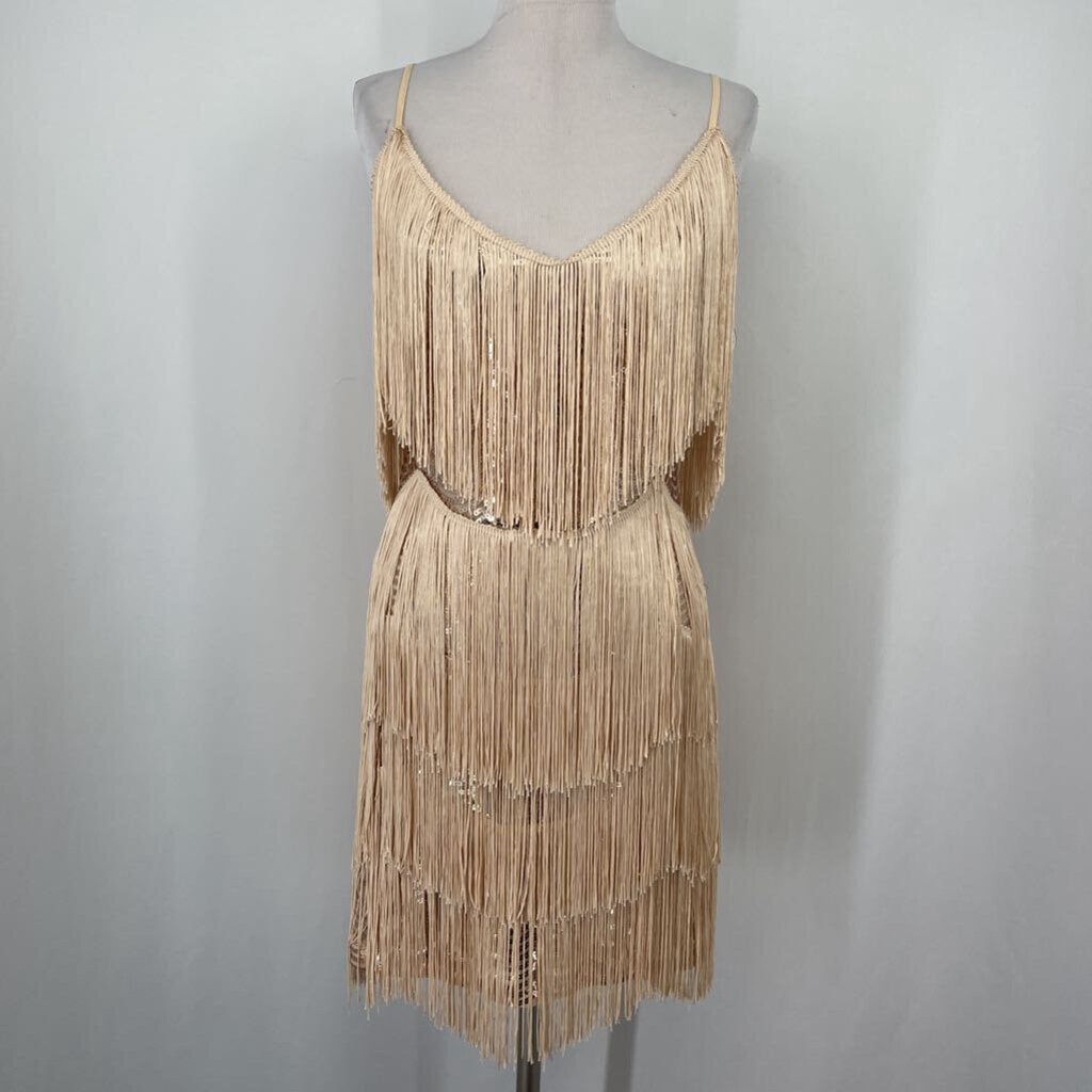 Lulu's Sequin Dress w Fringe