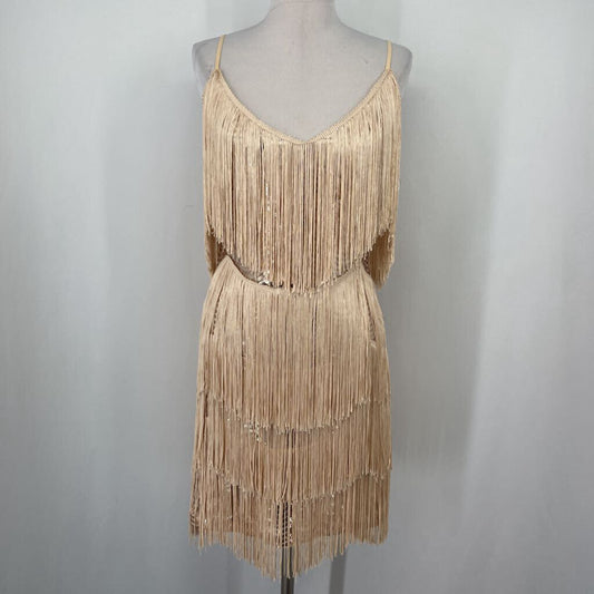 Lulu's Sequin Dress w Fringe