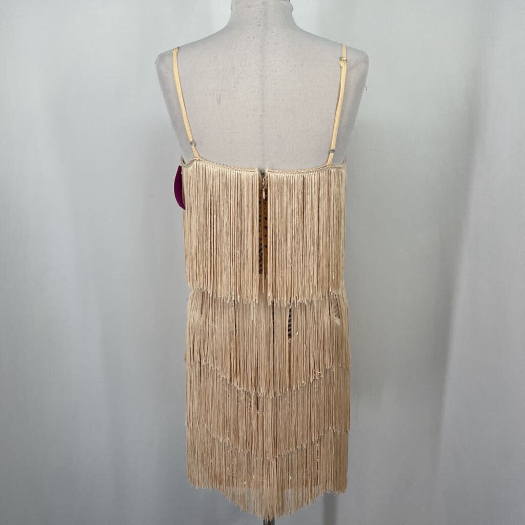 Lulu's Sequin Dress w Fringe