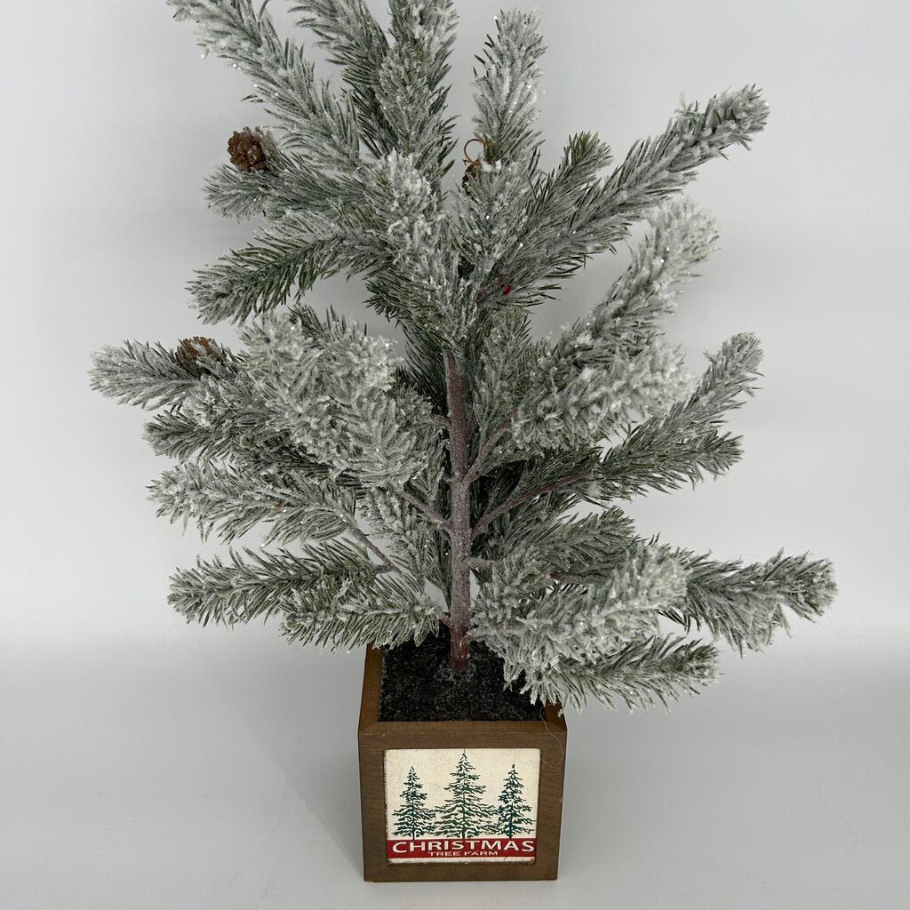Frosted Mini Tree in Box Stand