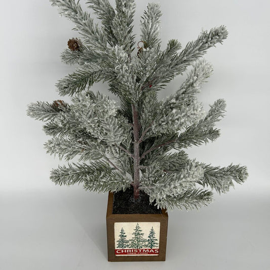 Frosted Mini Tree in Box Stand