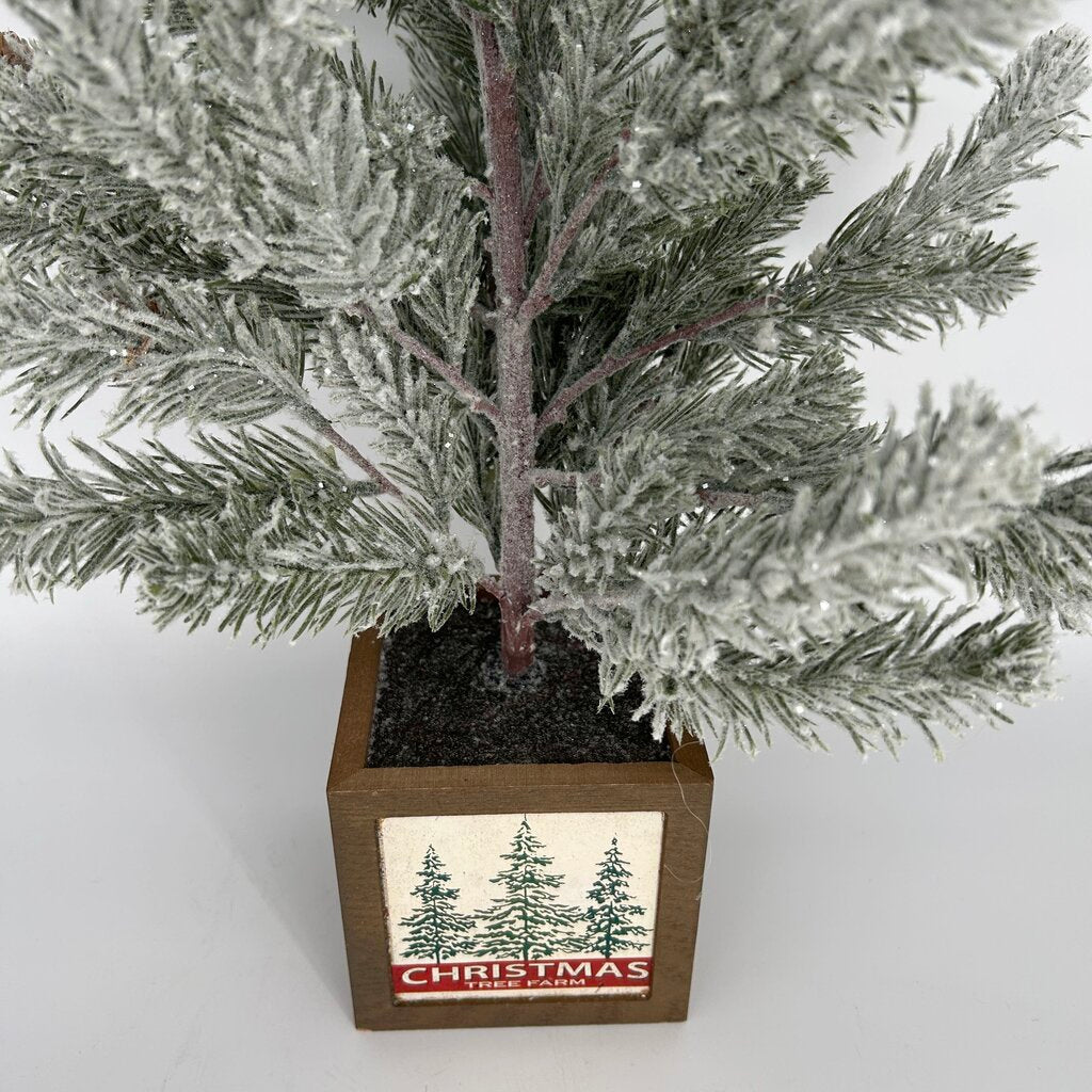 Frosted Mini Tree in Box Stand