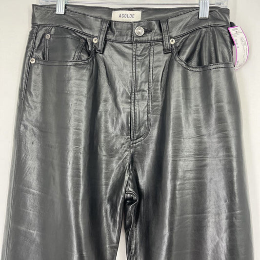 Agolde Faux Leather Pants