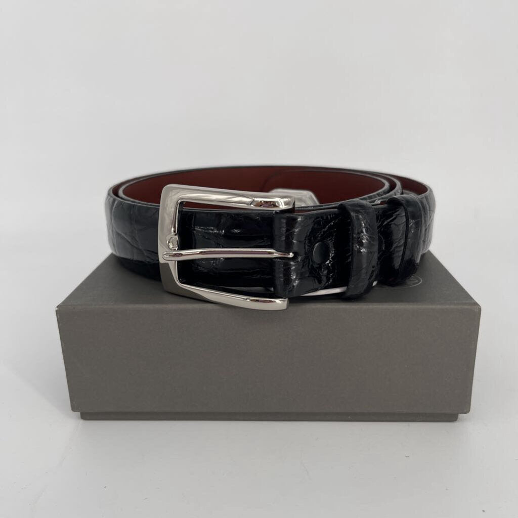 Torino Alligator Leather Belt
