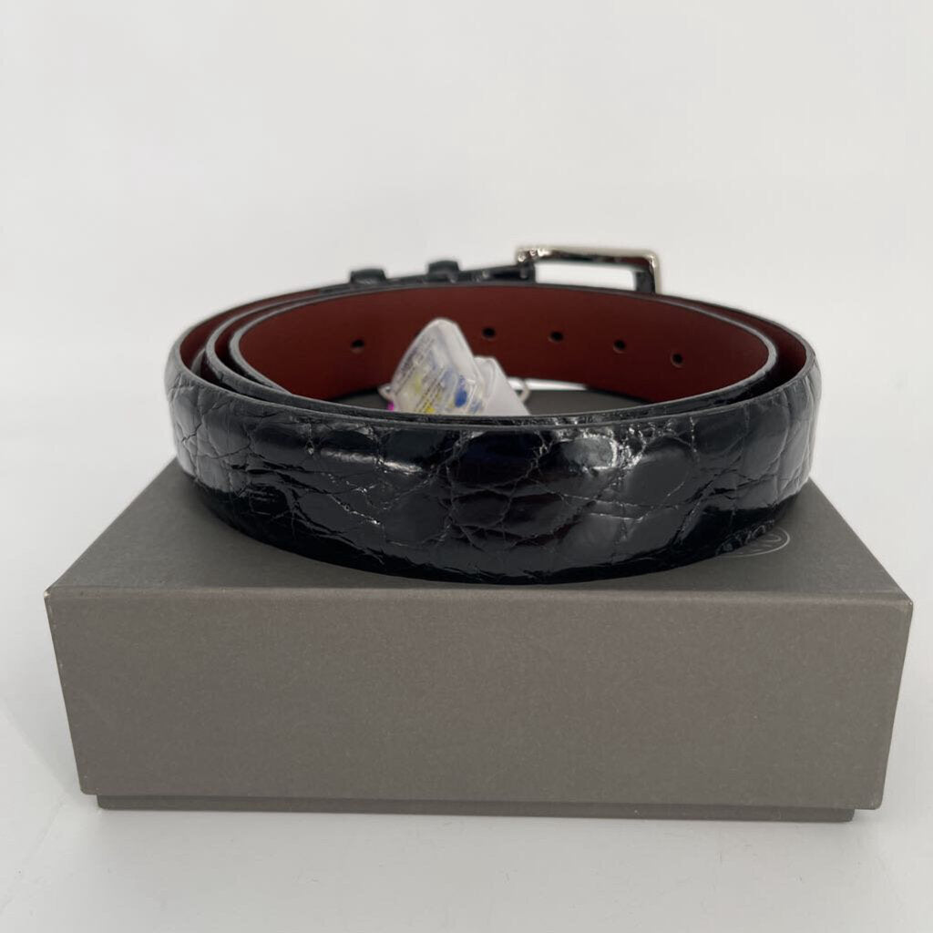 Torino Alligator Leather Belt