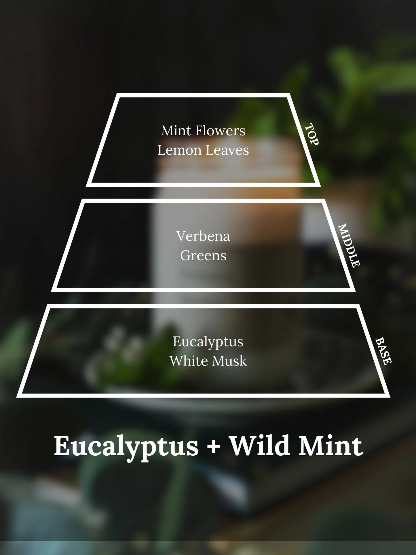 Eucalyptus + Wild Mint 12oz Mason Jar Candle